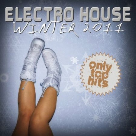 VA - Electro House Winter